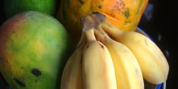 Programa Alimenta Brasil 2025: Guia Completo para Participar e Receber Alimentos Gratuitos - Cover Image
