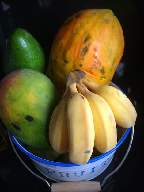 Programa Alimenta Brasil 2025: Guia Completo para Participar e Receber Alimentos Gratuitos