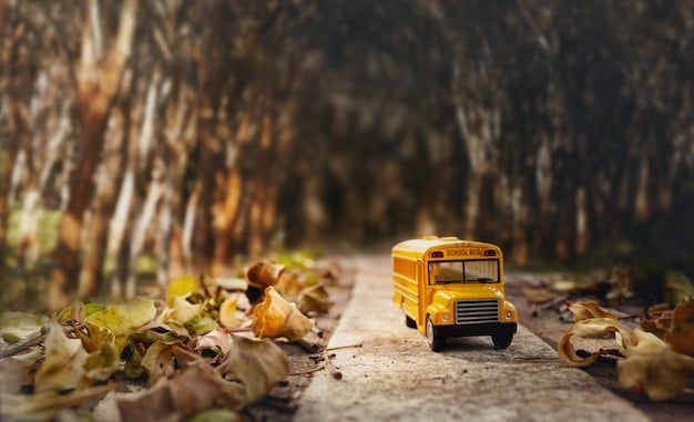 PNATE: Guia Completo para Transporte Escolar Gratuito para Seus Filhos