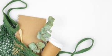 Embalagens Biodegradáveis: Guia para Implementação Acessível em Negócios - Cover Image