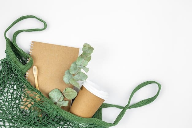 Embalagens Biodegradáveis: Guia para Implementação Acessível em Negócios