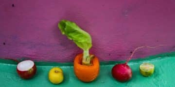 Impacto da Alimentação no Meio Ambiente: Reduza Sua Pegada em 15% - Cover Image