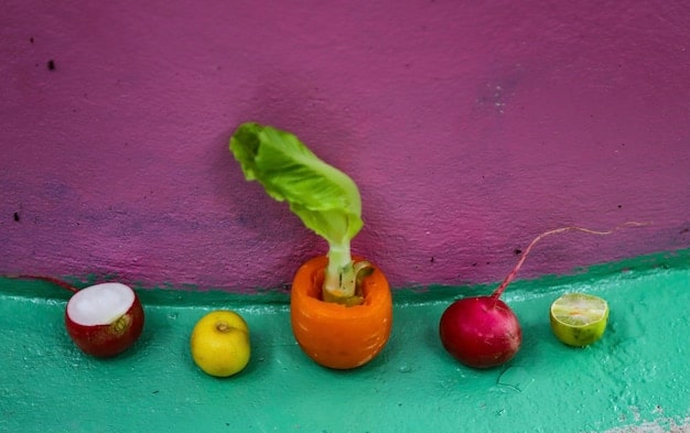 Impacto da Alimentação no Meio Ambiente: Reduza Sua Pegada em 15%