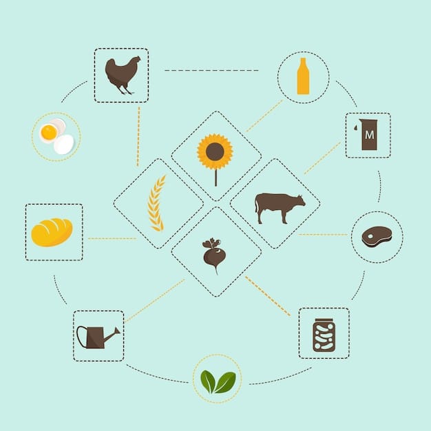 A graphic comparing the carbon footprint of different food groups, such as beef, chicken, vegetables, and dairy, with clear labels and visual representations of the CO2 emissions per serving.