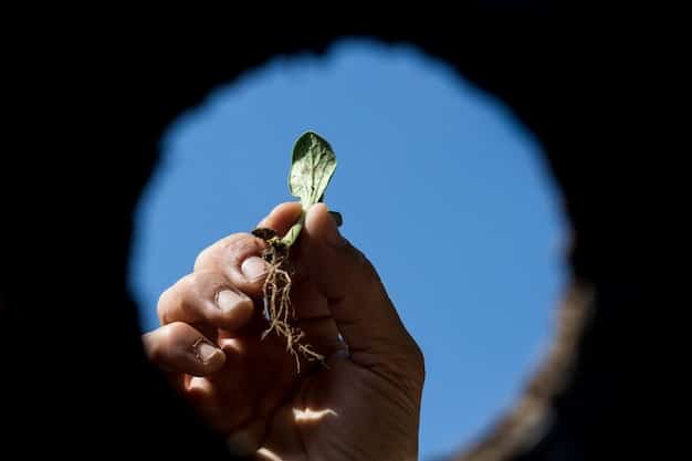 A hand planting a seedling in fertile soil, symbolizing growth and sustainable investment.