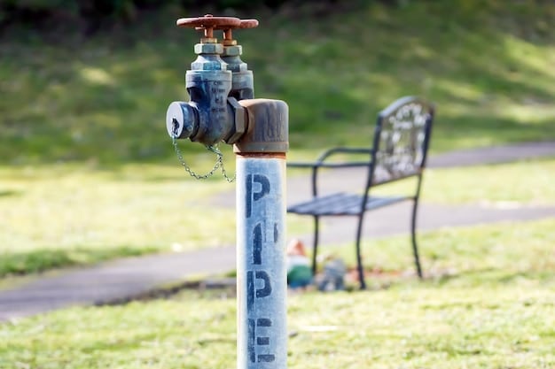 A water meter being installed in a residential area, with a focus on the connection to the main water line and the surrounding landscaping.