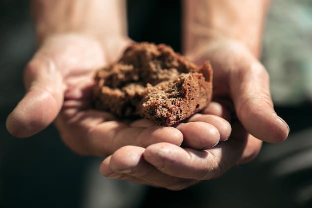 A close-up shot of a farmer's hands holding healthy soil, demonstrating sustainable farming practices.