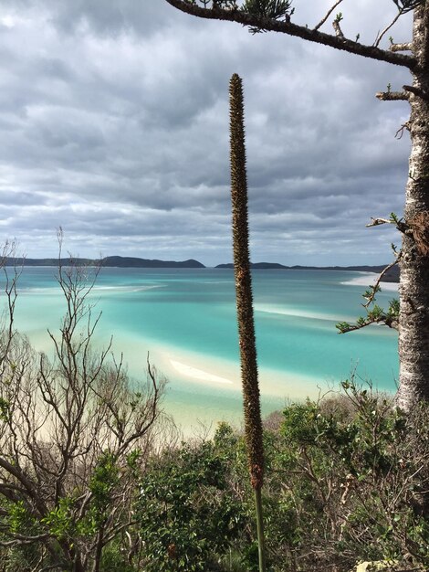 A pristine beach in Fernando de Noronha, Brazil, with crystal-clear turquoise water and white sand. A couple is snorkeling in the water, emphasizing the ecotourism and preservation of the marine environment.