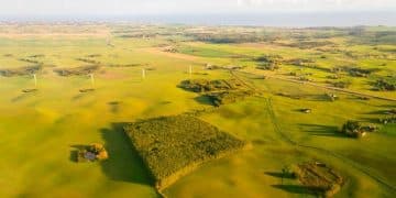 Energia Eólica no Brasil: Funcionamento, Benefícios e Impacto Sustentável - Cover Image