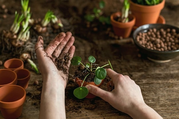 A close-up shot of a hand planting a small sapling in fertile soil, with other young trees visible in the background. The image captures the act of planting as an investment in the future, representing growth, care, and commitment to environmental restoration.