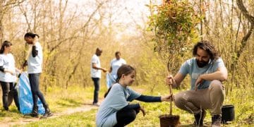 Voluntariado Ambiental: Plante 1.000 Árvores Nativas em 2025! - Cover Image