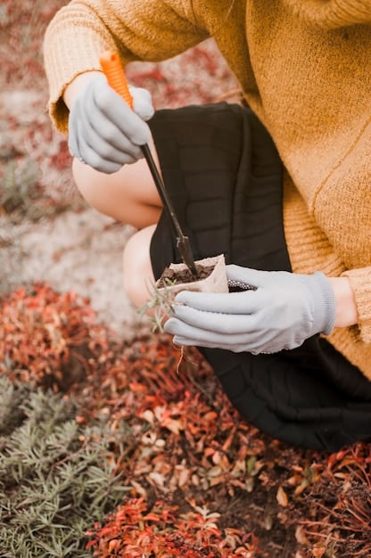 A close-up shot of a volunteer carefully planting a small native tree seedling in the ground, showing the hands gently placing the seedling and covering the roots with soil in a natural environment.