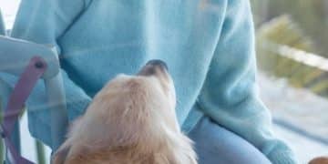 Voluntariado em Abrigos: Dicas Para Ajudar Pets e Aumentar Adoções - Cover Image