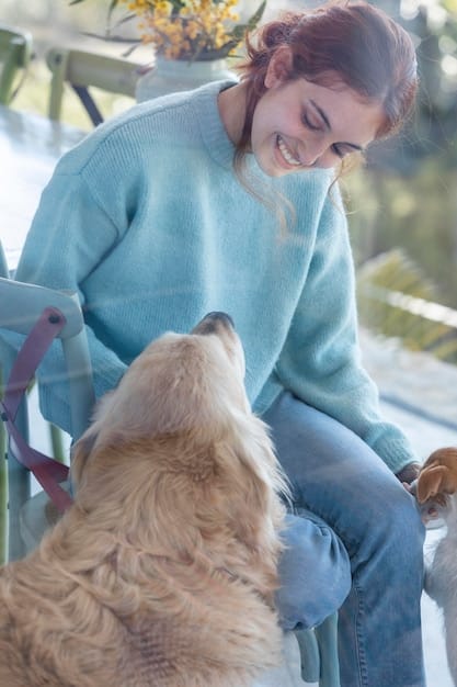 Voluntariado em Abrigos: Dicas Para Ajudar Pets e Aumentar Adoções