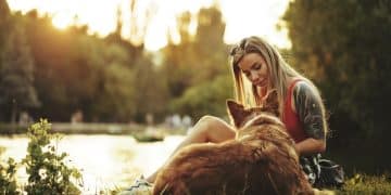 Voluntariado em Abriogs de Animais: Dicas Essenciais e Lares Amorosos - Cover Image