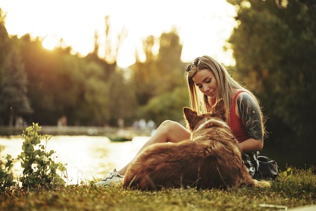 Voluntariado em Abriogs de Animais: Dicas Essenciais e Lares Amorosos