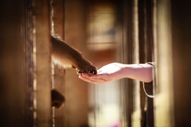 A close-up of a volunteer's hands gently stroking a tabby cat in its cage at an animal shelter. The cat looks relaxed and content.